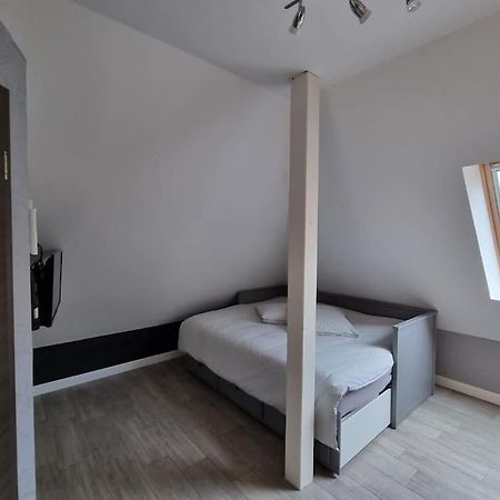 Studio De La Demi Lune Plobsheim ภายนอก รูปภาพ